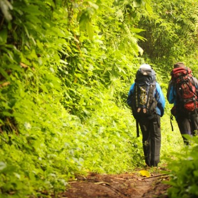 Ingin Sehat? Mendaki Gunung Saja